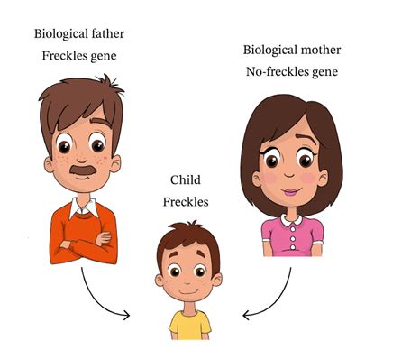 inherited concepts in babies.